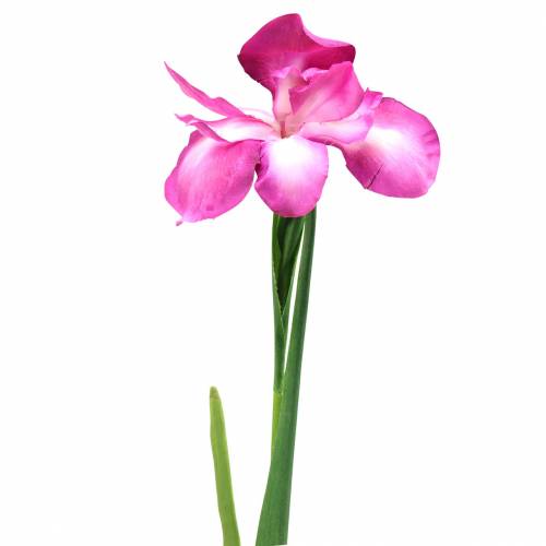 Floristik24 Íris rosa artificial 78 cm