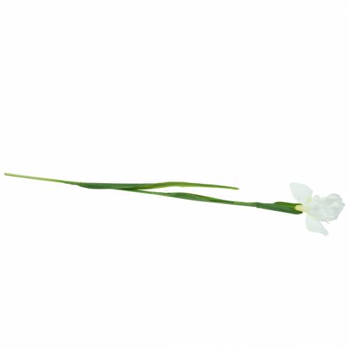 Floristik24 Íris artificial branca 78cm