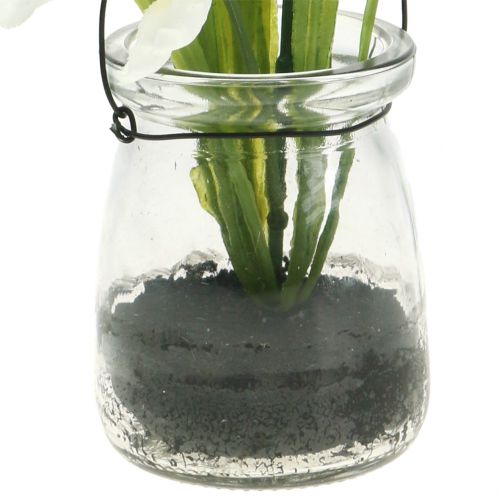 Floristik24 Íris branca em um vidro para pendurar Alt.21,5 cm