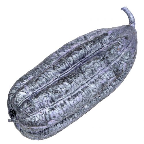 Floristik24 Luffa Fruta Violeta 14cm – 20cm 10 un