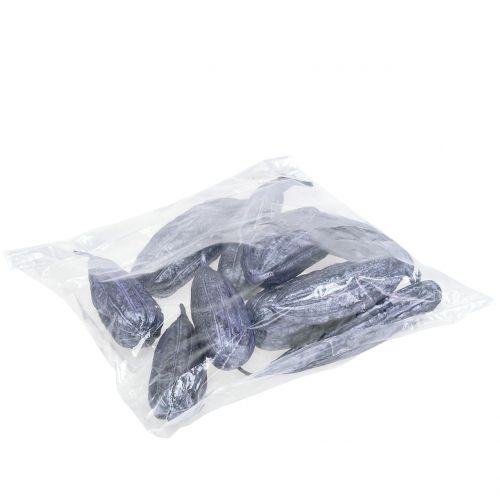 Floristik24 Luffa Fruta Violeta 14cm – 20cm 10 un