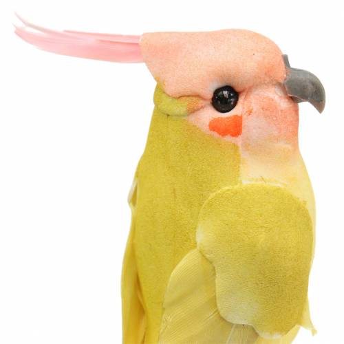 Floristik24 Cacatua decorativa com fio de metal verde amarelo Alt.13cm 4 unidades