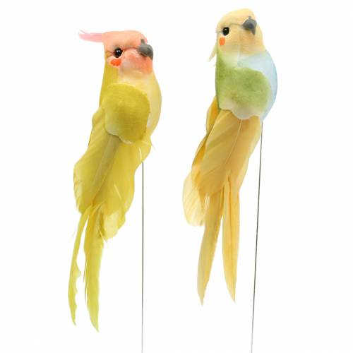 Floristik24 Cacatua decorativa com fio de metal verde amarelo Alt.13cm 4 unidades