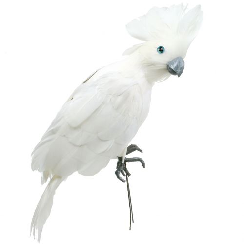 Floristik24 Cacatua decorativa com penas brancas L30cm