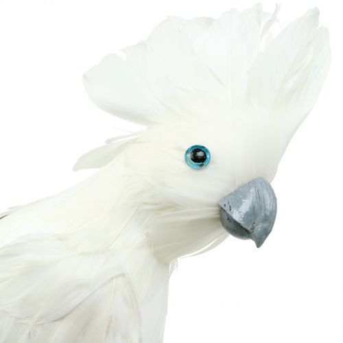 Floristik24 Cacatua decorativa com penas brancas L30cm
