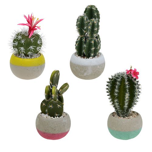 Floristik24 Cactos em uma mistura de pote H13cm 4pcs