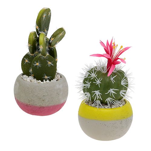 Floristik24 Cactos em uma mistura de pote H13cm 4pcs