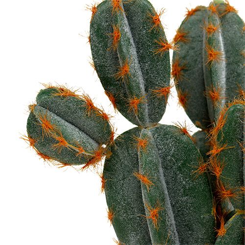 Floristik24 Cactos em um pote artificial de 20cm