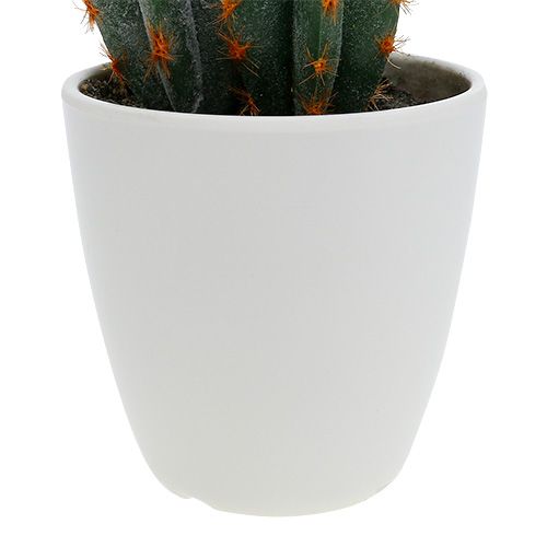 Floristik24 Cactos em um pote artificial de 20cm