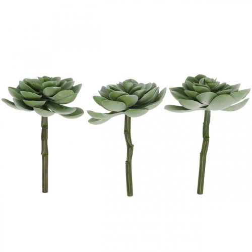 Floristik24 Suculenta artificial deco plantas artificiais verdes 11 × 8,5 cm 3 peças