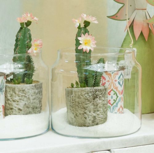 Floristik24 Cacto em vaso com flor 21cm branca