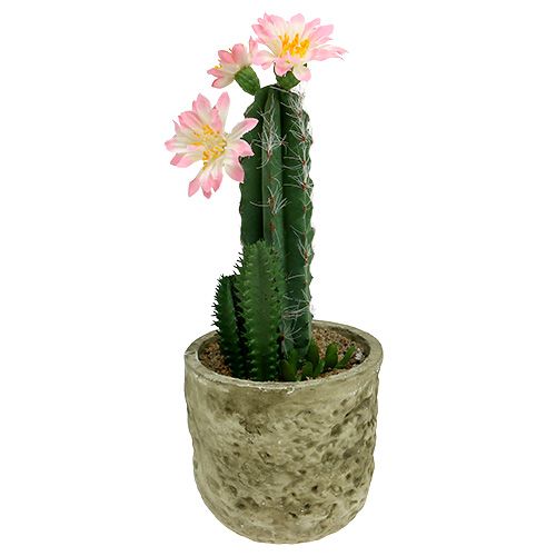 Cacto em um vaso com flor rosa H 21cm