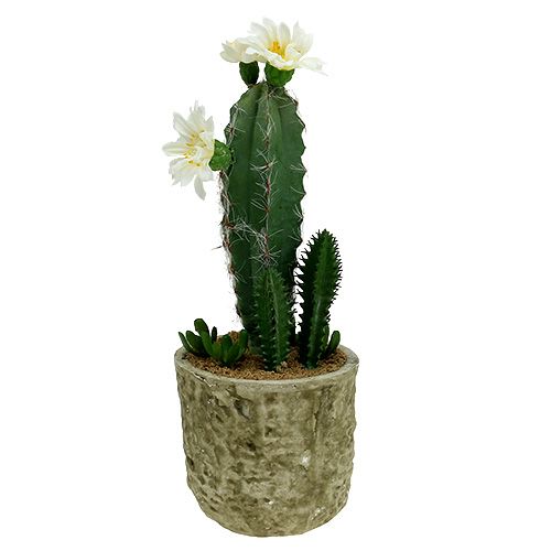 Cacto em vaso com flor 21cm branca