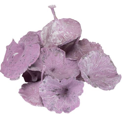 Itens Kalix Cogumelo Roxo, Branco Lavado 100 unidades