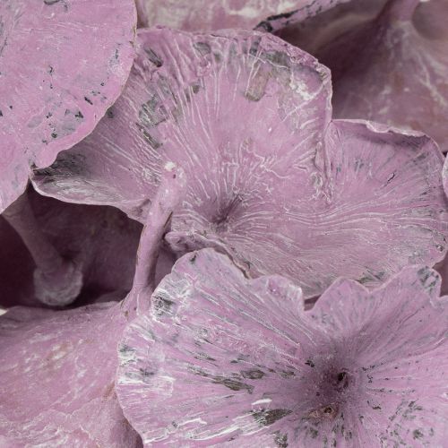 Itens Kalix Cogumelo Roxo, Branco Lavado 100 unidades