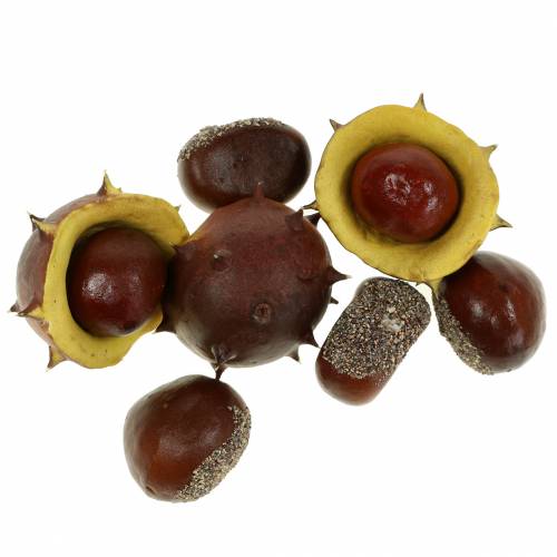 Floristik24 Variedade decorativa de castanhas 5,5 cm 24 unidades