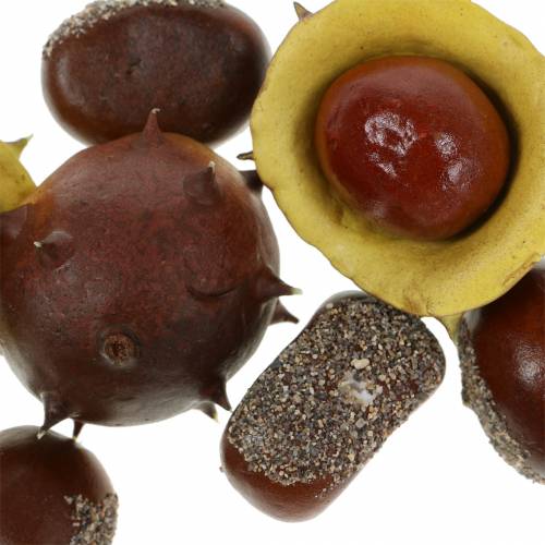 Floristik24 Variedade decorativa de castanhas 5,5 cm 24 unidades