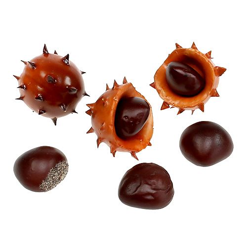 Floristik24 Castanhas na rede 9pcs