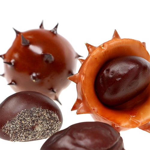 Floristik24 Castanhas na rede 9pcs