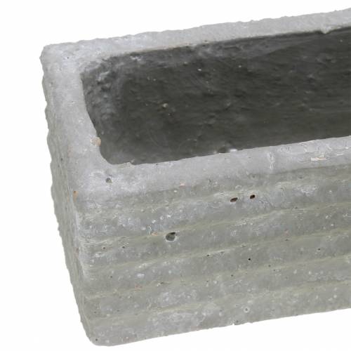 Itens Caixa de plantas de concreto cinza claro 30x7cm H6.5cm 2pcs