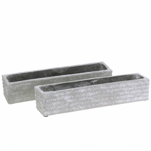 Floristik24 Caixa de plantas de concreto cinza claro 30x7cm H6.5cm 2pcs