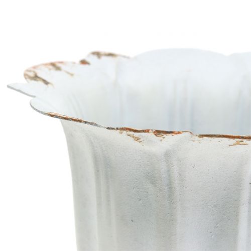 Floristik24 Cálice Antigo Branco Rústico Ø12cm A14cm