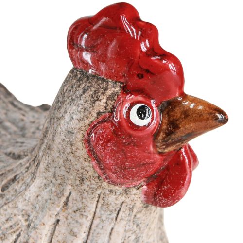 Floristik24 Figura engraçada de decoração de Páscoa de frango decorativo em cerâmica 16×12×12cm