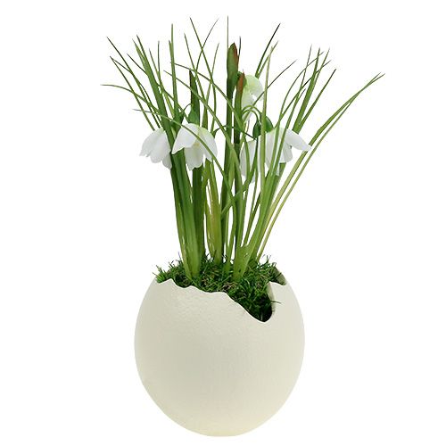 Floristik24 Ovo de cerâmica aberto com creme Alt.12cm 2pçs