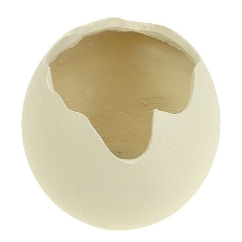 Floristik24 Ovo de cerâmica aberto com creme Alt.12cm 2pçs