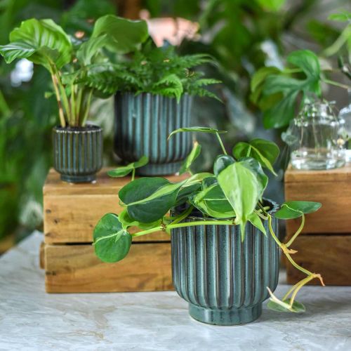 Floristik24 Vaso de cerâmica, decoração de flores, plantador ondulado verde, marrom Ø15,5cm Alt.16,5cm