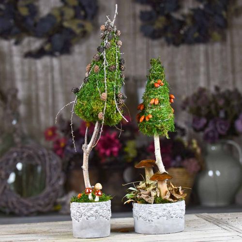Floristik24 Vaso de cerâmica, vaso de flores com decoração em carvalho, vaso para plantas verde / branco / cinza Ø13cm A11,5cm conjunto de 3