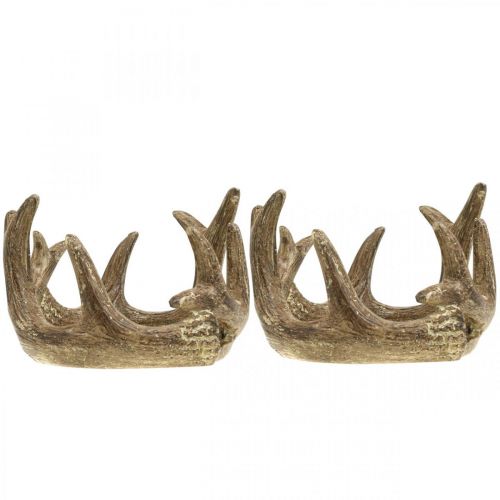 Floristik24 Castiçal castiçal chifre ouro A7cm Ø10cm 2uds
