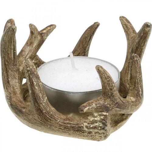 Floristik24 Castiçal castiçal chifre ouro A7cm Ø10cm 2uds