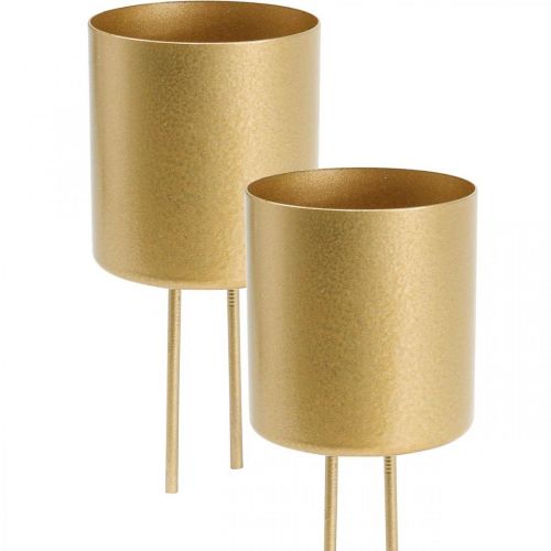 Floristik24 Castiçal plug-in porta-velas dourado metal Ø5cm 4 unidades