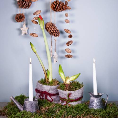 Floristik24 Jarro de castiçal aspecto antigo H12/9cm 2 peças