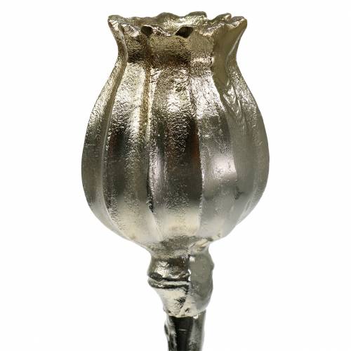 Floristik24 Castiçal flor de papoula champanhe Alt.34cm