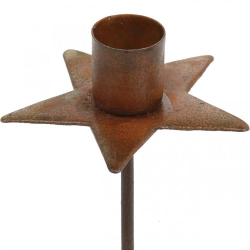 Floristik24 Estrela de decoração de velas, castiçal de árvore para colar, decoração de Natal em pátina metálica Ø5cm