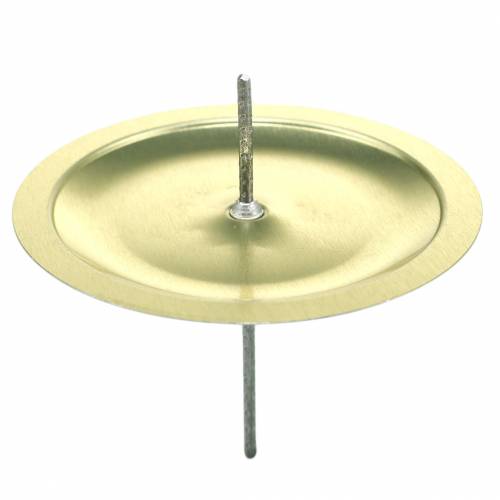 Floristik24 Castiçal com espinho dourado Ø6cm 36 un