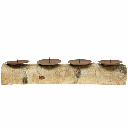 Floristik24 Castiçal com 4 espinhos bétula 40cm x 8cm Alt.9cm