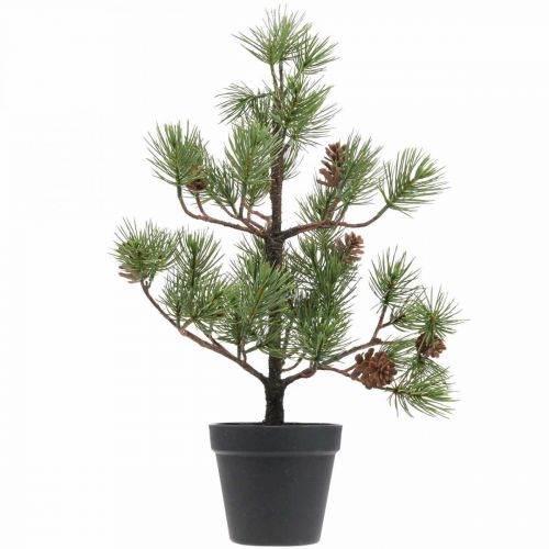 Floristik24 Pinheiro artificial em vaso Árvore de Natal com cones 52cm