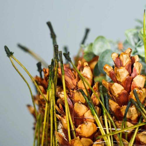 Floristik24 Agulhas de pinheiro verde 400g