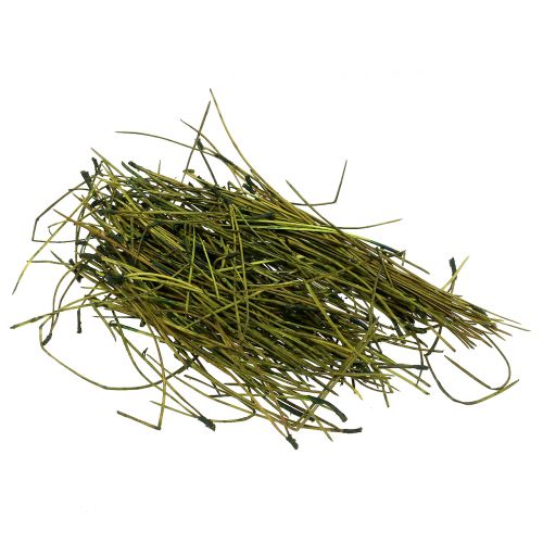 Floristik24 Agulhas de pinheiro verde 400g