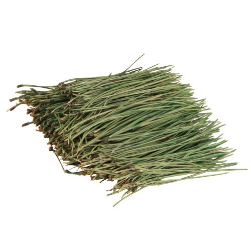 Floristik24 Agulhas de pinheiro verde artesanato suprimentos Natal 50g 3 unidades