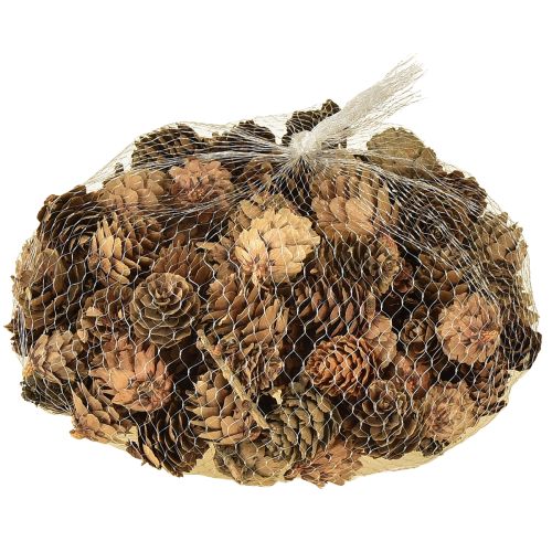 Pinhas naturais pequenas pinhas decoração em rede 2,5-3,5cm 300g | Floristik24.pt