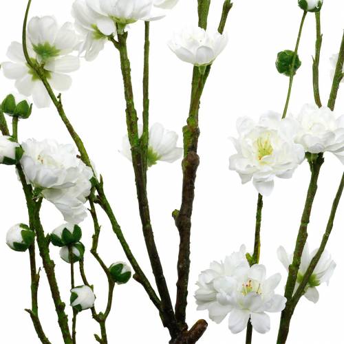 Floristik24 Ramo de flor de cerejeira ramo decorativo branco artificial flor de cerejeira decoração de primavera