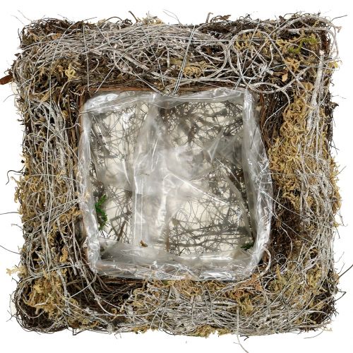 Floristik24 Almofada de musgo, videira 25 cm x 25 cm