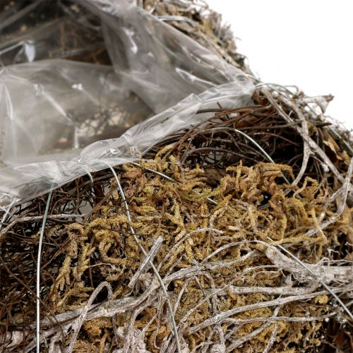 Floristik24 Almofada de musgo, videira 25 cm x 25 cm