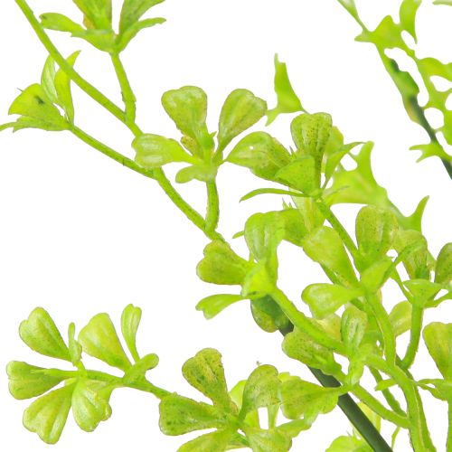 Itens Clover Dwarf Clover Plantas Artificiais em Verde em Pick 49cm 2pcs
