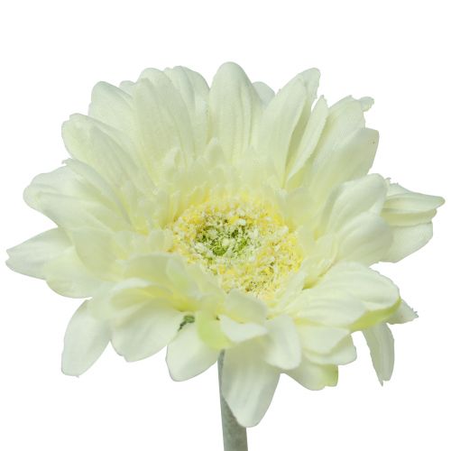 Floristik24 Flores Artificiais Gérbera Branca 45cm