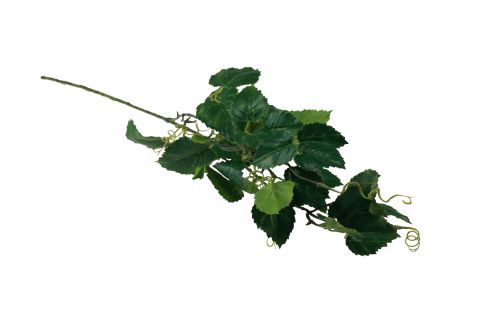 Itens Decoração artificial de vinho plantas artificiais ramos verdes L78cm